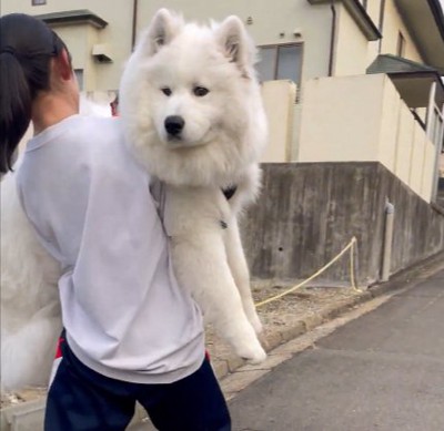 心の中は