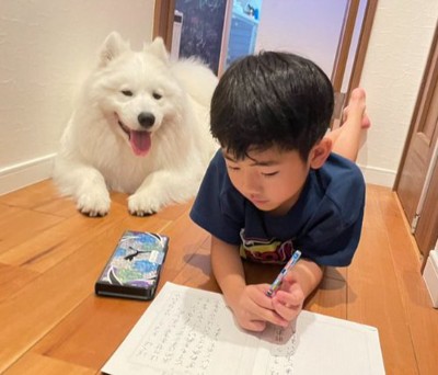 可愛すぎる