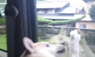 あ！！