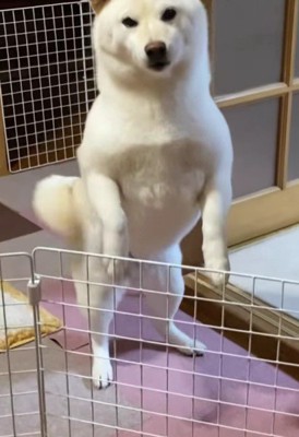 気持ちが爆発！！