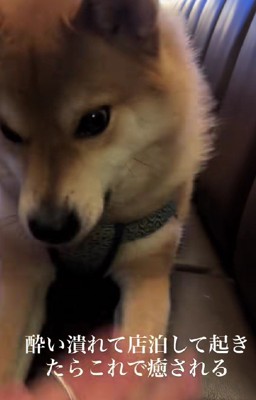 「大丈夫？」
