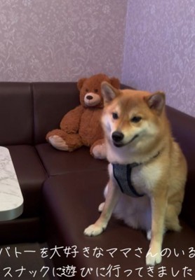 「やっぱ落ち着く～」