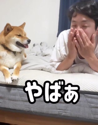 「やばー」