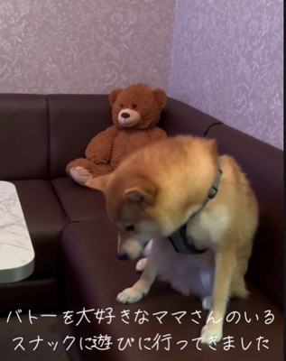 ここは特等席！？