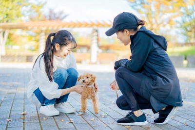 散歩中に女性に触れ合う犬