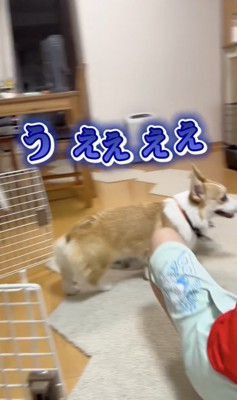 お尻を嗅がれてしまった！