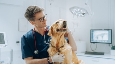 獣医と犬