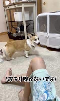 不服そう