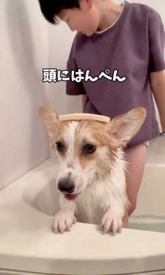 「…ふぅ」