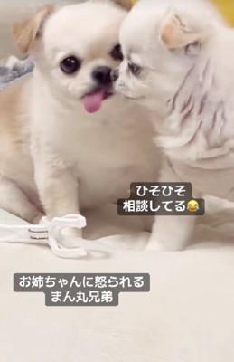 「え！そうなの？」
