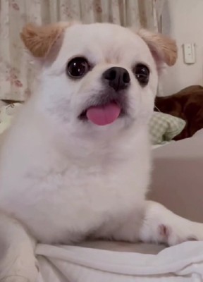 「え…どういうこと…？」