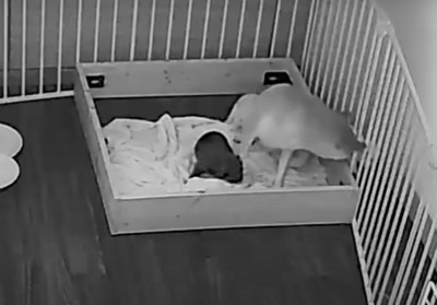 体が外側へ