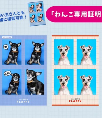 愛犬用