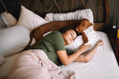 女性とベッドで寝ている犬