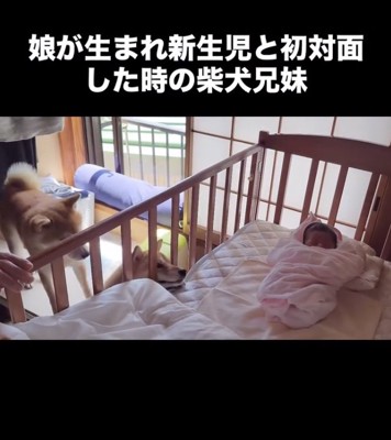 じーっ…