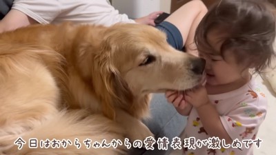 愛が止まらない