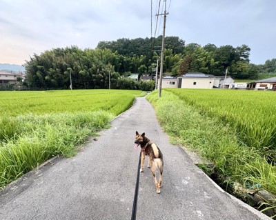 素敵な日常