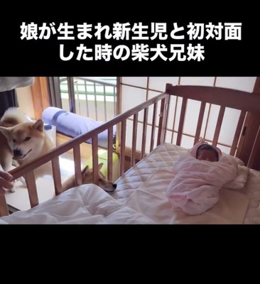 ソワソワ…