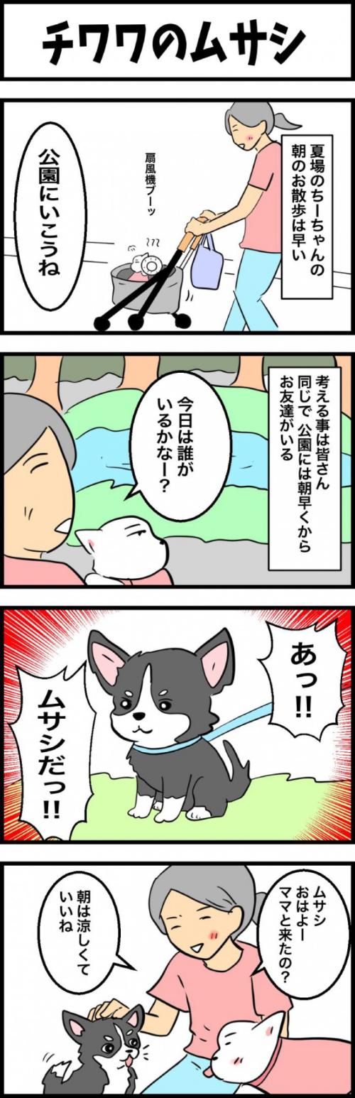 ちーちゃんですけどもっ【第323話】 1