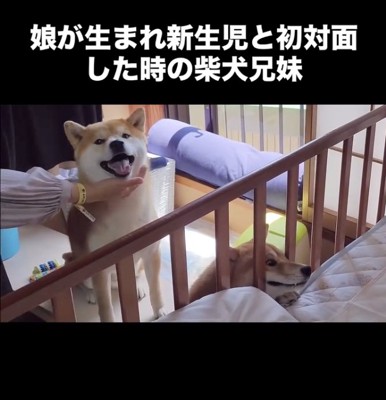 嬉しい！！