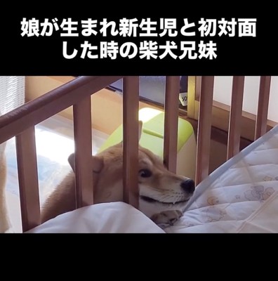 グイグイッ