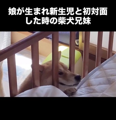 少しでも近くに！