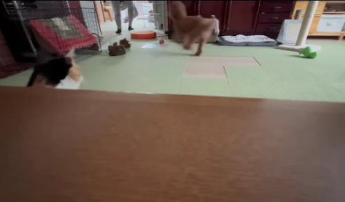 そして去っていく…