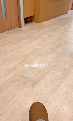 扉から出てきたゆいるくん