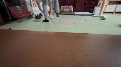 鬼が入れ替わった