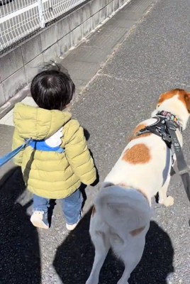 一緒に散歩するふたり