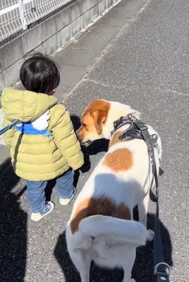 お孫さんを気遣う大夢くん