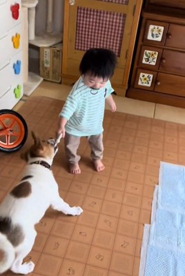 引っ張りっこするふたり