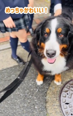 ご満悦なあざちゃん