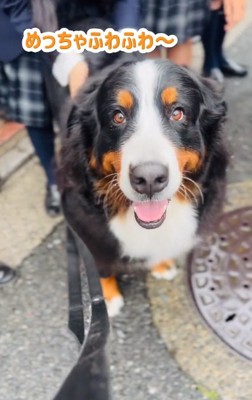 嬉しそうなあざちゃん