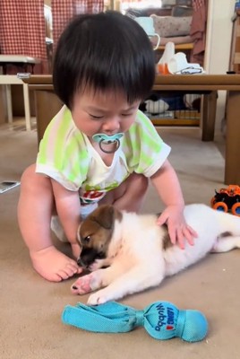 大夢くんを触るお孫さん