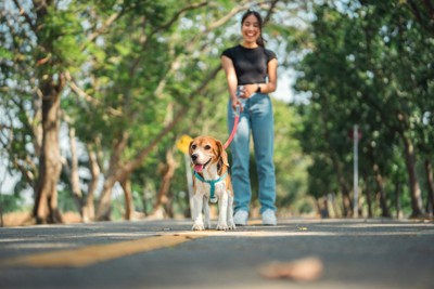 飼い主と散歩する犬