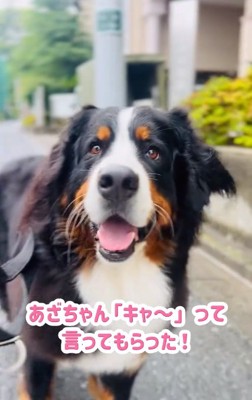 笑顔のあざちゃん