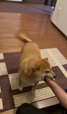 心ゆくまで