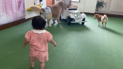 ミニカーを発見!