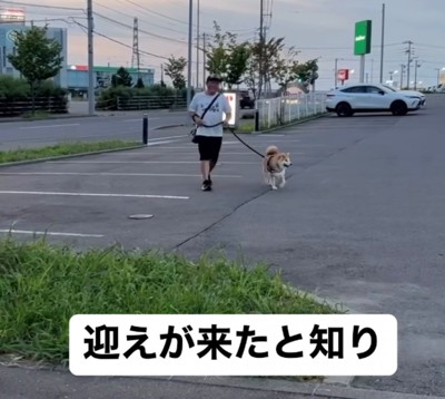 車に向かって歩いてくる犬と人