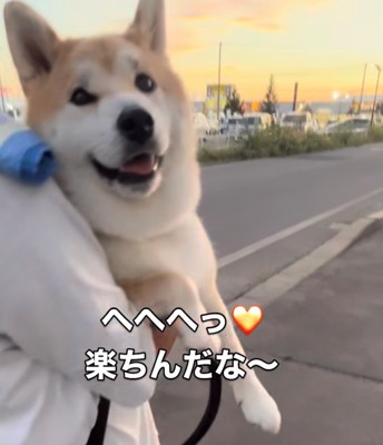 笑顔で抱っこされている犬