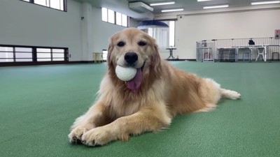 最後はやっぱり…