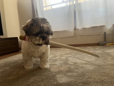 何度