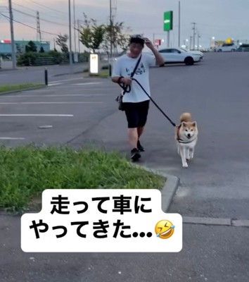 うれしそうに小走りしてくる犬