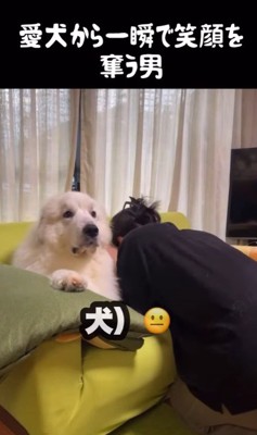 ドレミちゃんの表情の変化6