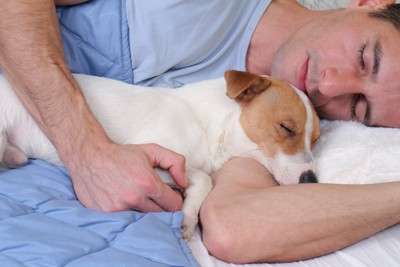 熟睡する犬と飼い主