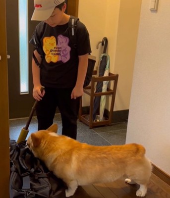 荷物を嗅ぐ犬2