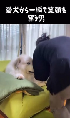 ドレミちゃんの表情の変化3