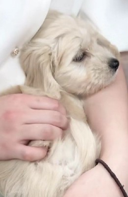 成長しても5~6キロ