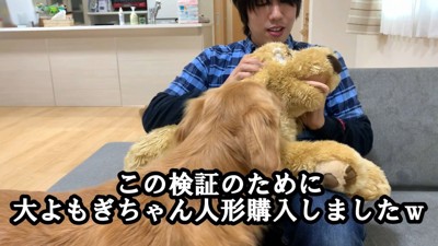 嫉妬するよもぎちゃん